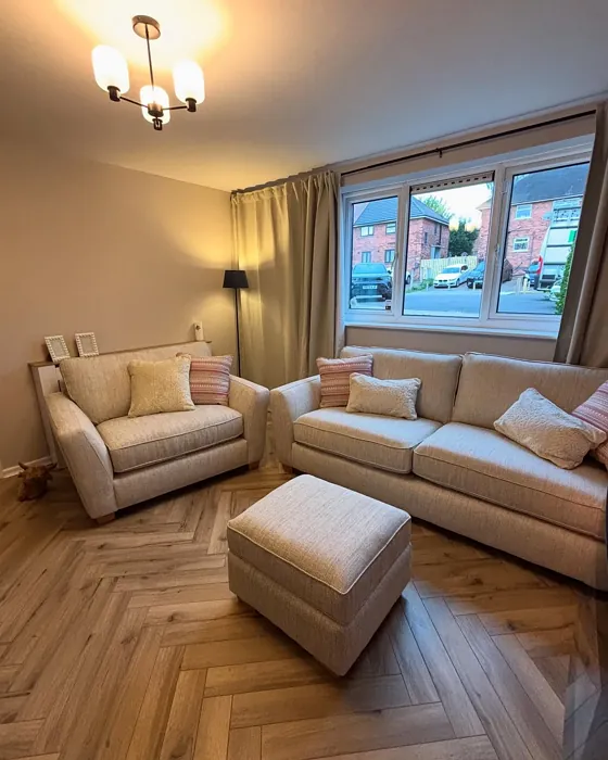 Dulux Gentle Fawn living room interior idea