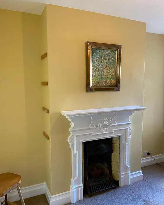Dulux Golden Ivory living room fireplace color