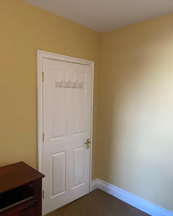Dulux Golden Ivory wall paint review