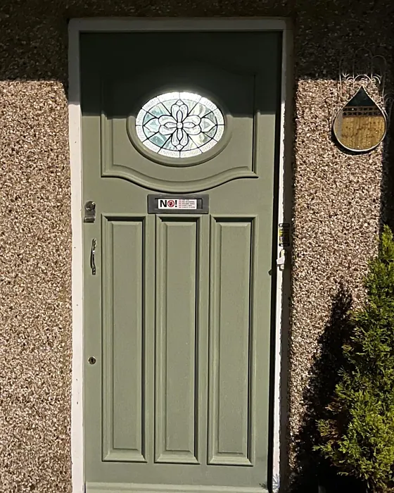 Dulux Green Glade front door picture