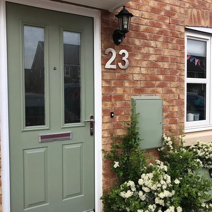Dulux Green Glade front door color review