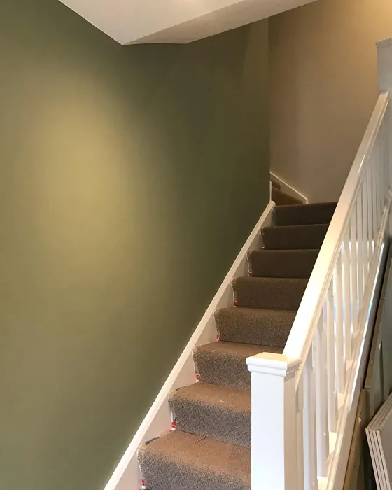 Dulux Green Glade stairs color paint