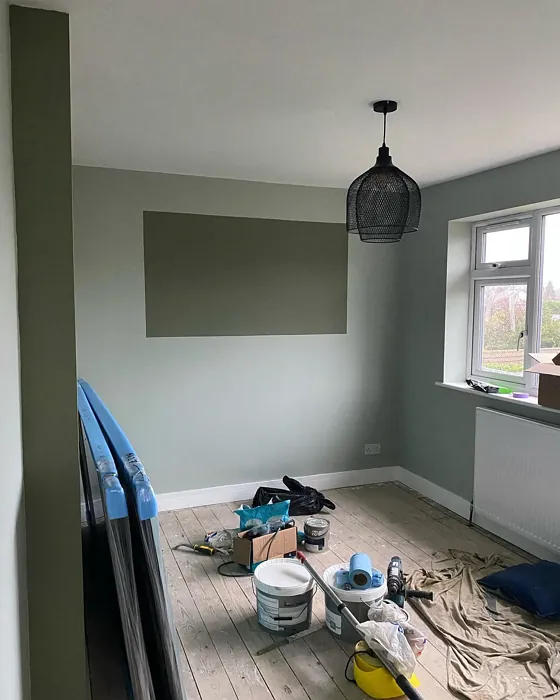 Dulux Green Glade color block 