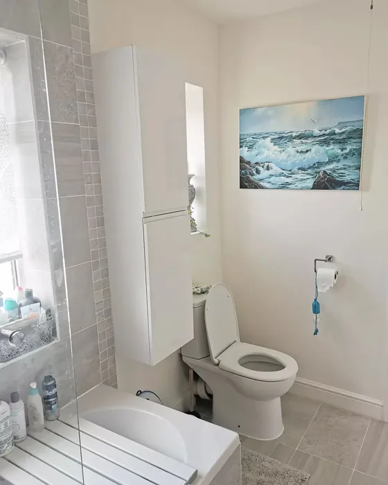 Dulux Jasmine White bathroom color review