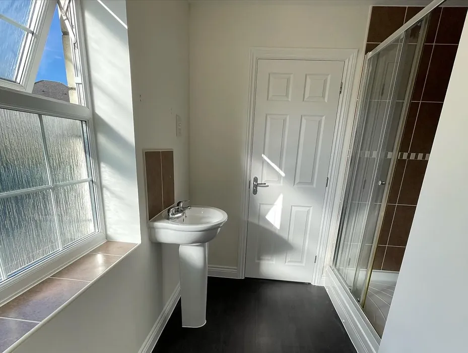 Dulux 67YY 88/044 bathroom paint review