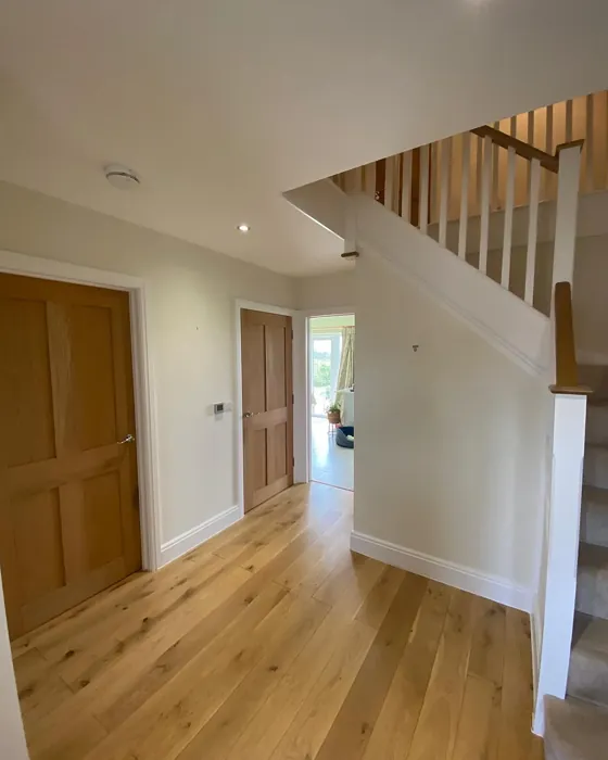 Dulux Ochre White wall paint photo