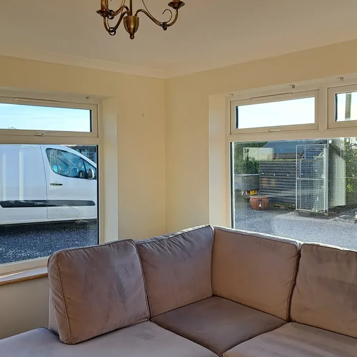 Dulux Ochre White wall paint color review