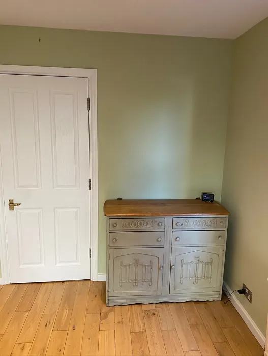 Dulux Pale Olivine wall paint 