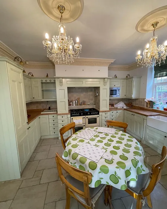 Dulux Pale Olivine kitchen cabinets picture