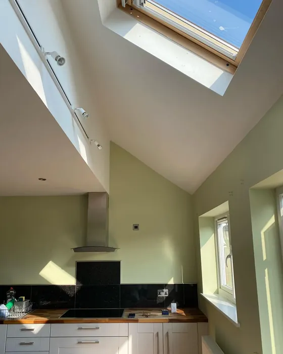 Dulux Pale Olivine kitchen color