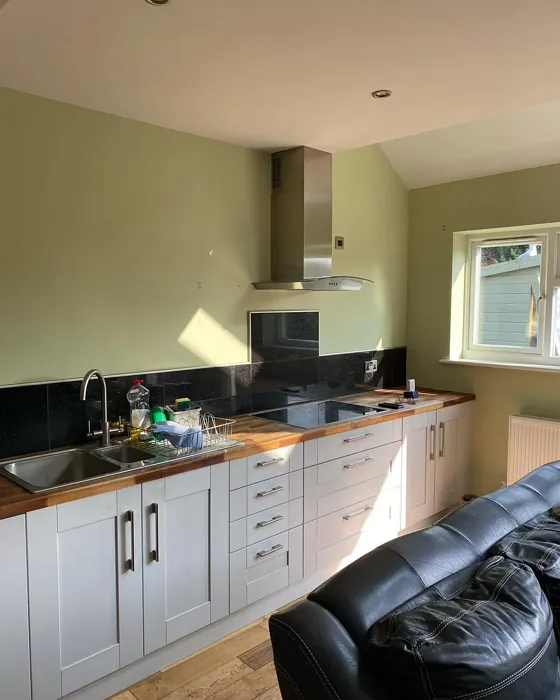 Dulux Pale Olivine kitchen paint