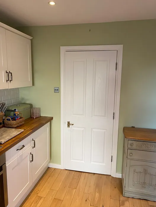 Dulux Pale Olivine kitchen paint