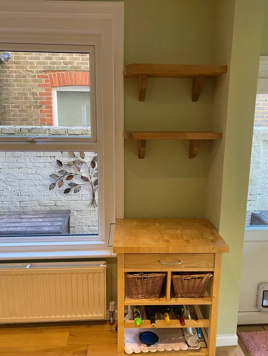 Dulux Pale Olivine kitchen color review