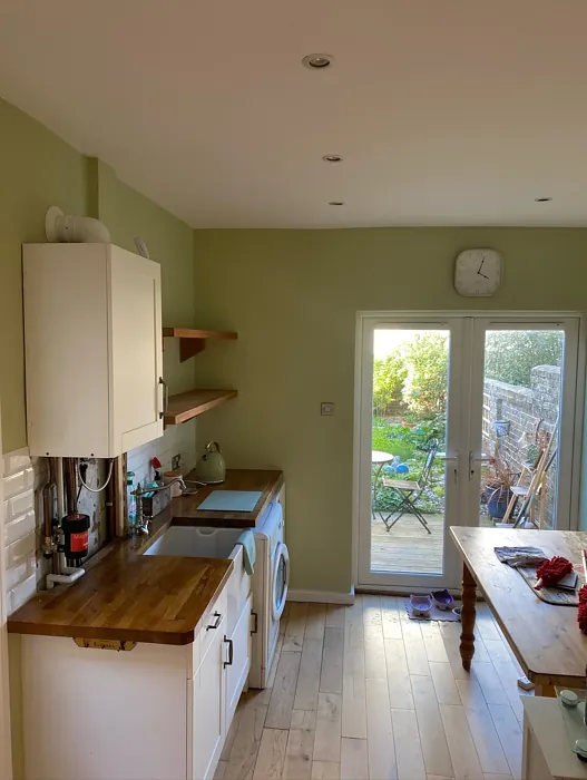 Dulux Pale Olivine laundry room 