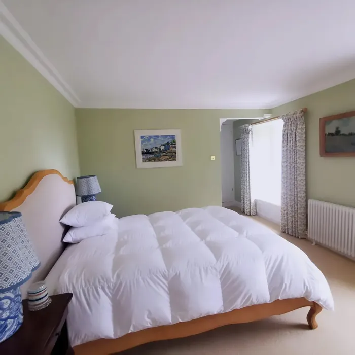 Dulux Pale Olivine bedroom color