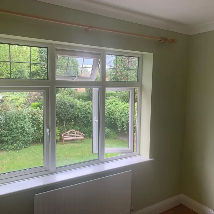 Dulux Pale Olivine wall paint color