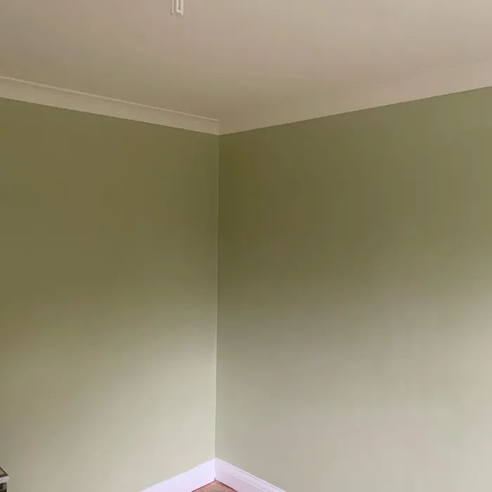 Dulux Pale Olivine wall paint makeover