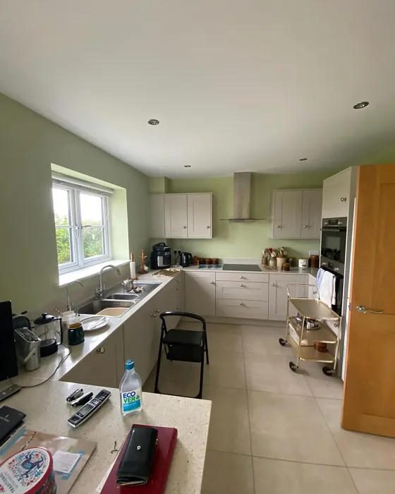 Dulux Pale Olivine kitchen picture