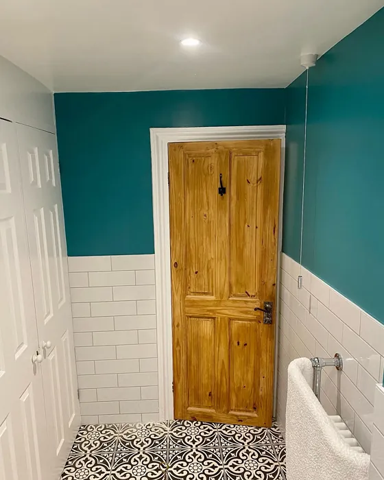 Dulux 90GG 21/219 bathroom color review