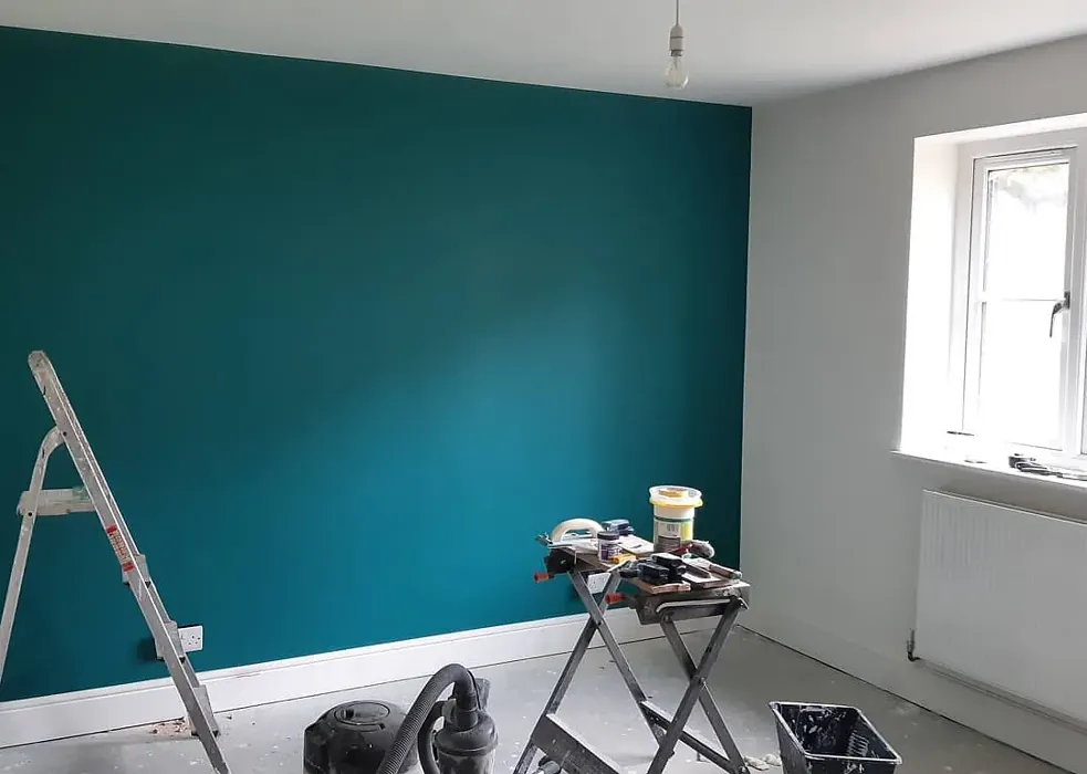 Dulux Proud Peacock victorian accent wall color