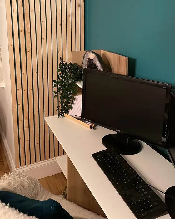 Proud Peacock scandinavian home office interior