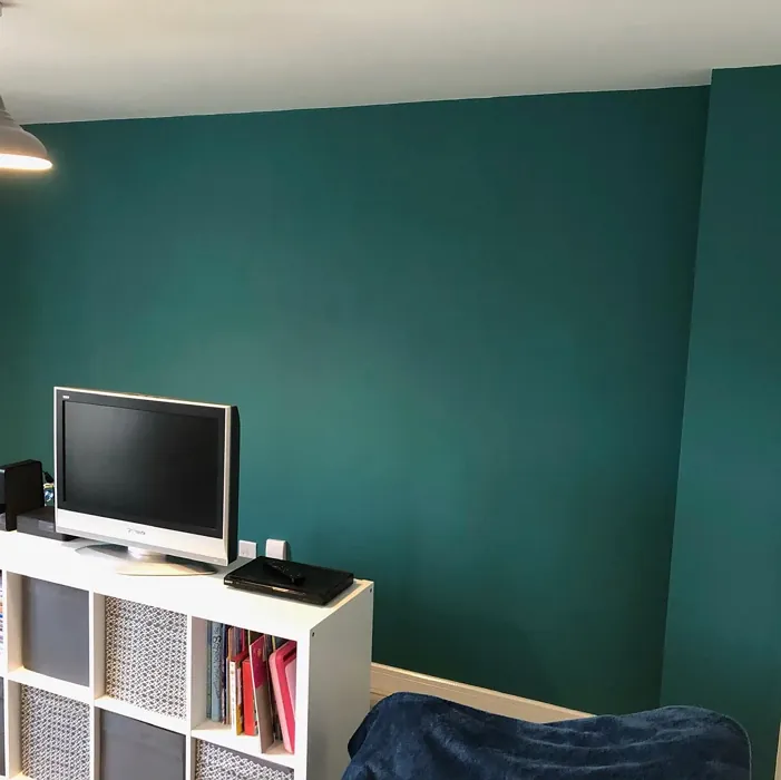 Dulux Proud Peacock living room makeover