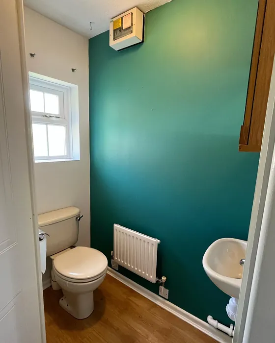 Dulux Proud Peacock bathroom color review