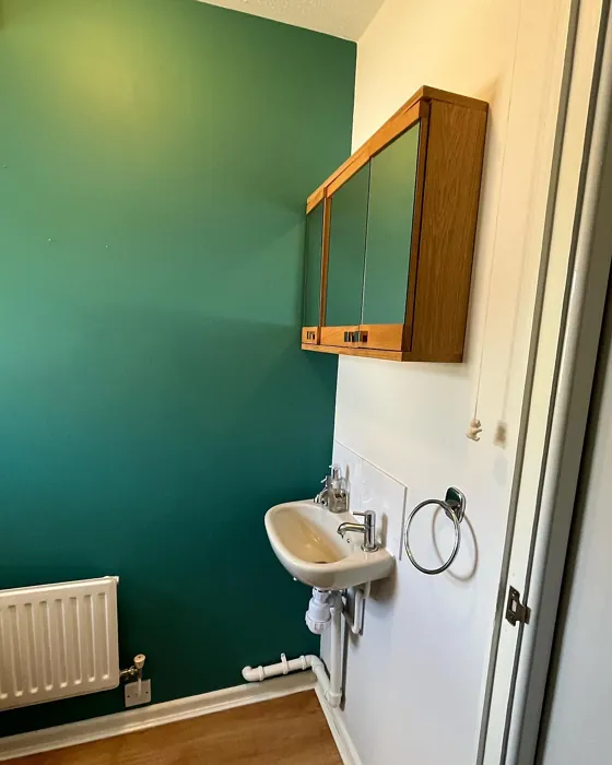 Dulux Proud Peacock bathroom makeover