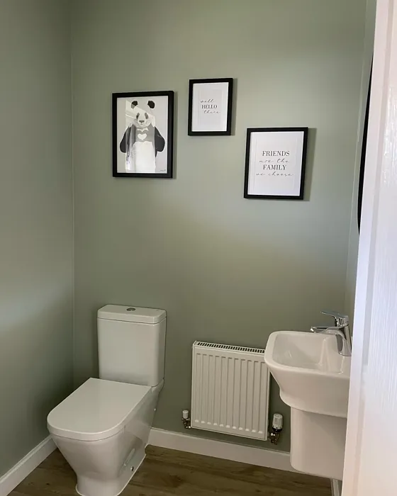Dulux Silver Lichen bathroom color review