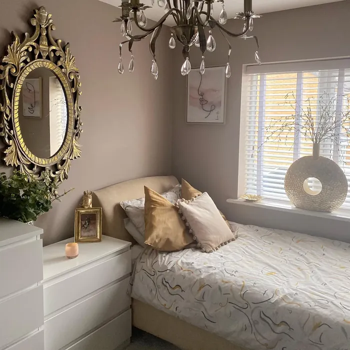 Dulux Velvet Truffle 4 bedroom color