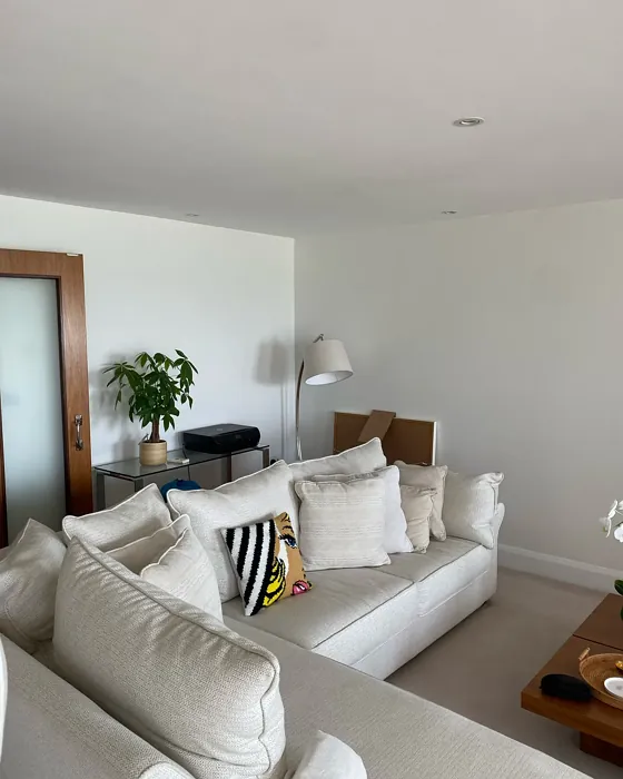 Timeless living room interior idea