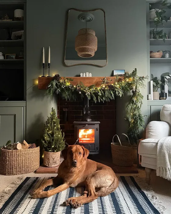 Dulux Waxed Khaki cozy living room 