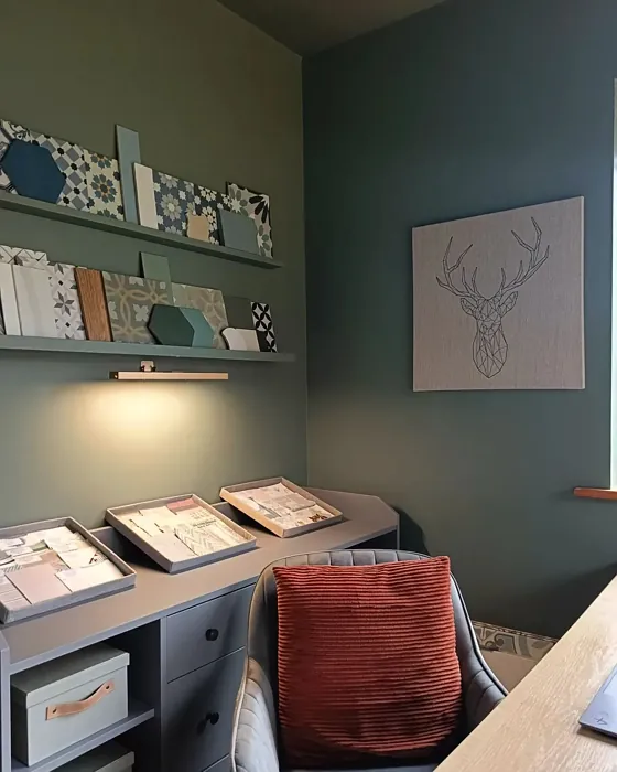 Dulux Waxed Khaki home office 