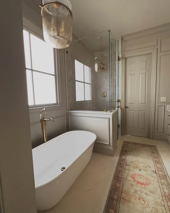 Sherwin Williams Dumpling bathroom color