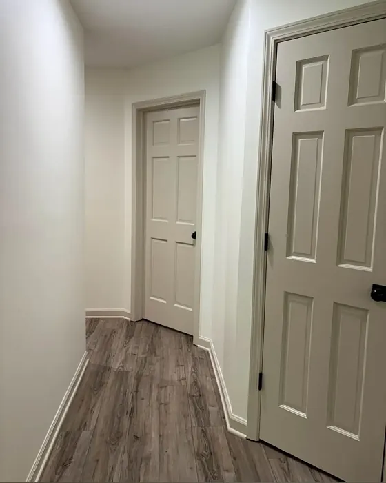 Sherwin Williams Dumpling door color