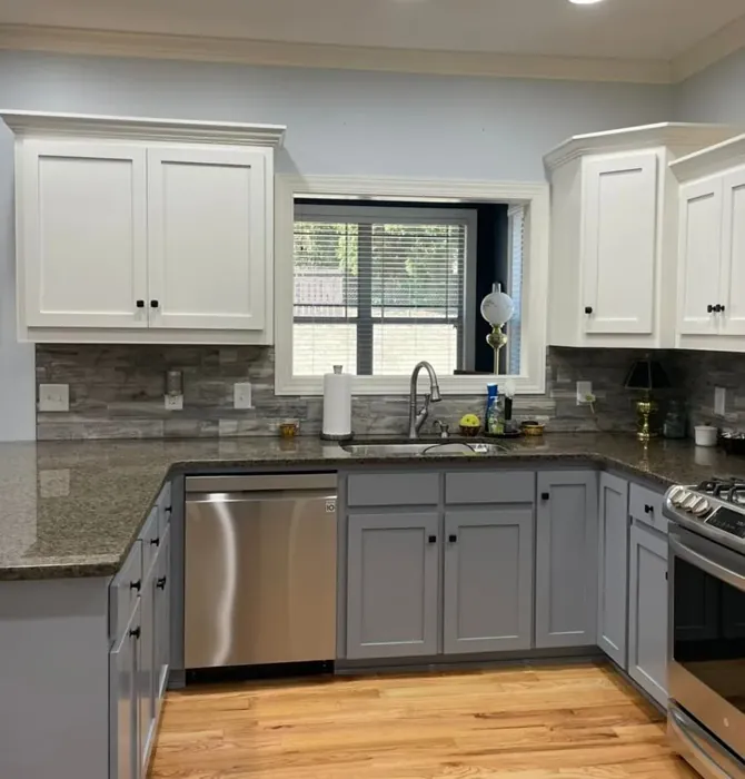 SW Dustblu kitchen cabinets color