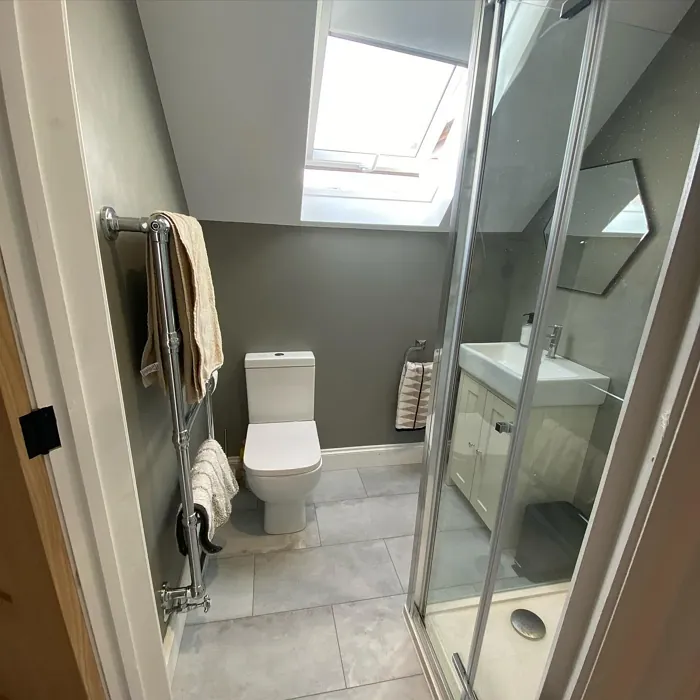 Dulux Dusted Moss 1 bathroom color