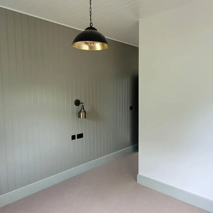 Dulux Dusted Moss 1 accent wall color