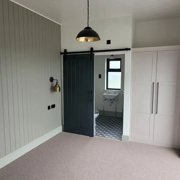 Dulux Dusted Moss 1 feature color