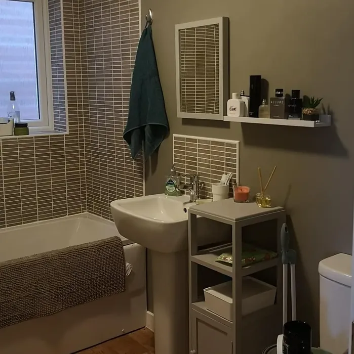 Dulux 50YY 33/065 bathroom paint