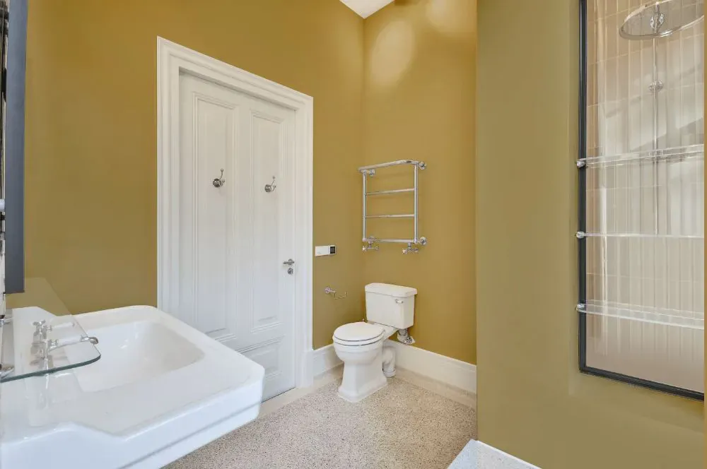 Sherwin Williams Dusted Olive bathroom