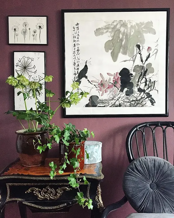 Jotun Dusty Purple wall paint 