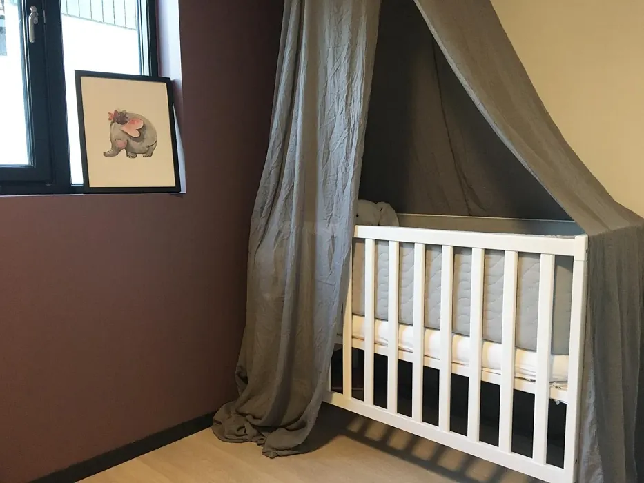 Jotun Dusty Purple nursery color