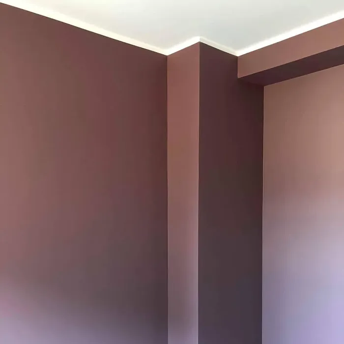 Jotun Dusty Purple wall paint color