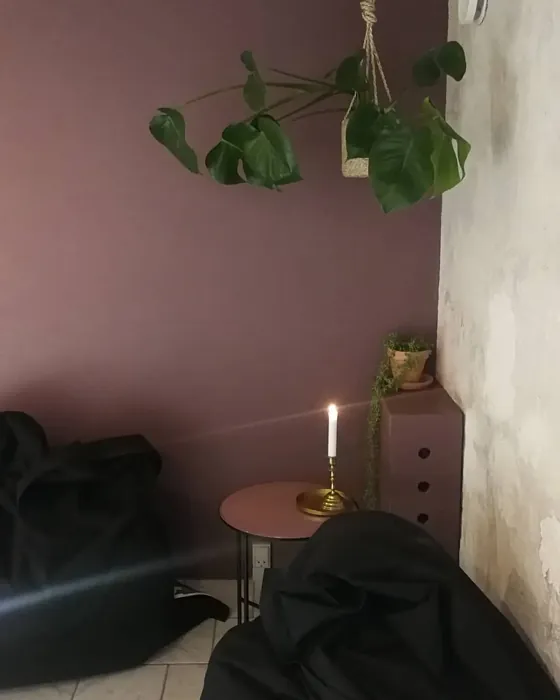 Jotun Dusty Purple accent wall 