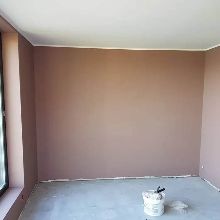 Jotun Dusty Rose wall paint color review