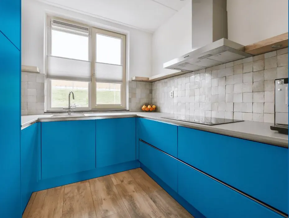 Sherwin Williams Dynamic Blue small kitchen cabinets
