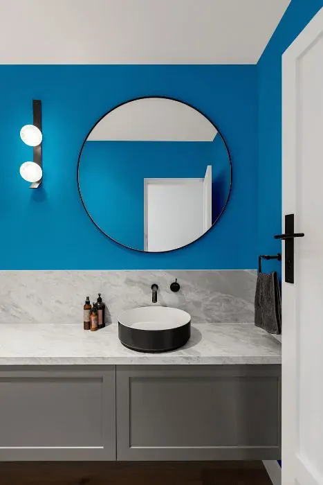 Sherwin Williams Dynamic Blue minimalist bathroom