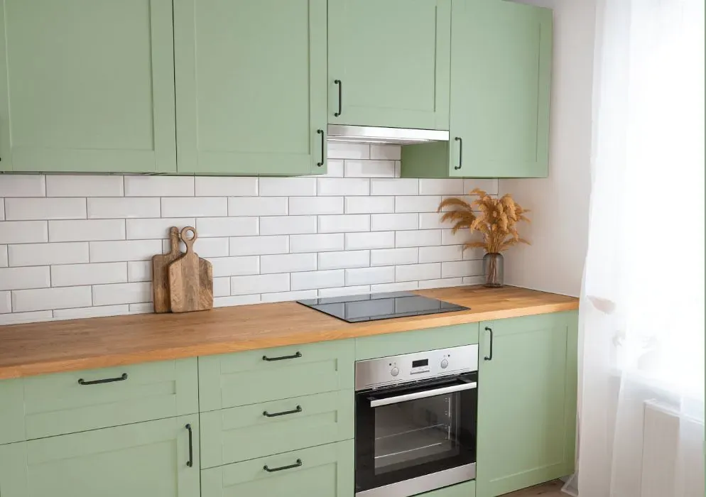 Sherwin Williams Easy Green kitchen cabinets