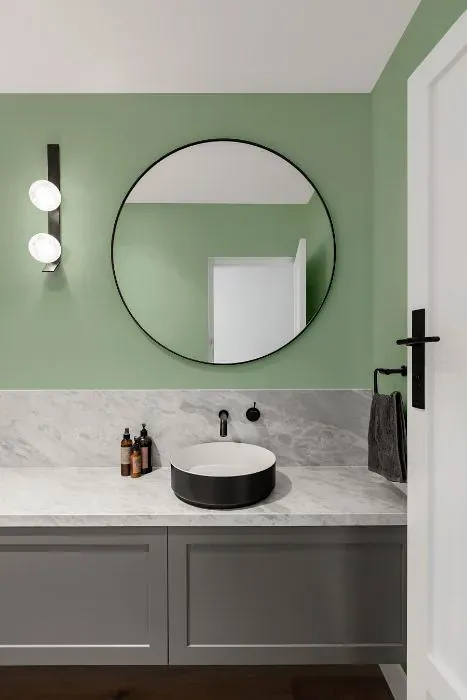 Sherwin Williams Easy Green minimalist bathroom